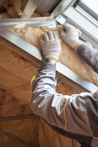 Best Attic Insulation Installation  in Redington Shores, FL