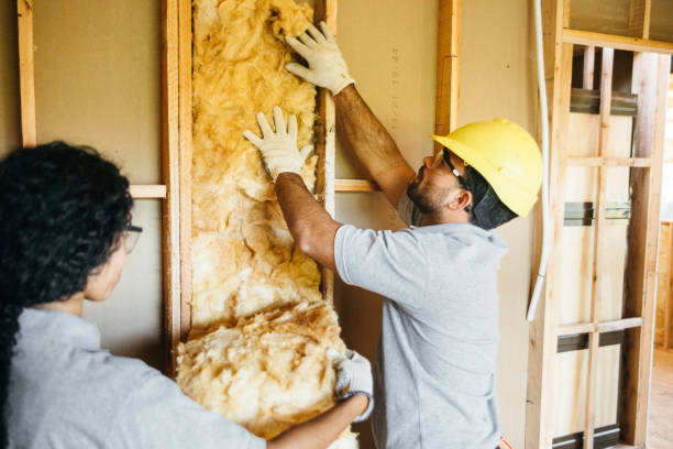 Best Blown-In Insulation  in Redington Shores, FL